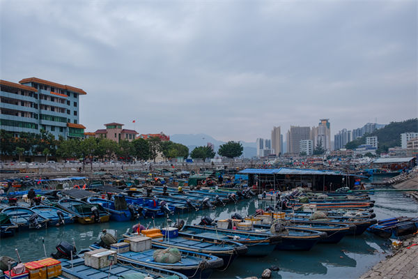 精益生產(chǎn)分析：開海第一網(wǎng)撈8000斤，船長(zhǎng)合不攏嘴