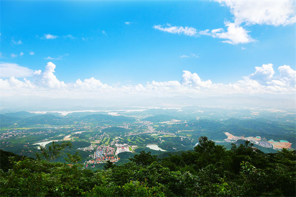 企業(yè)戰(zhàn)略飄在半空落地難，惠州戰(zhàn)略咨詢公司能錨定方向嗎？