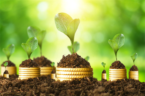 預(yù)算管理咨詢公司如何幫助企業(yè)破解資金錯配問題？