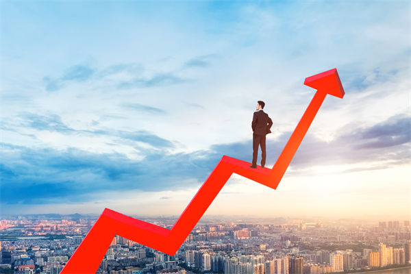 績效管理咨詢公司，能幫企業(yè)建立以結(jié)果為導(dǎo)向的體系嗎？