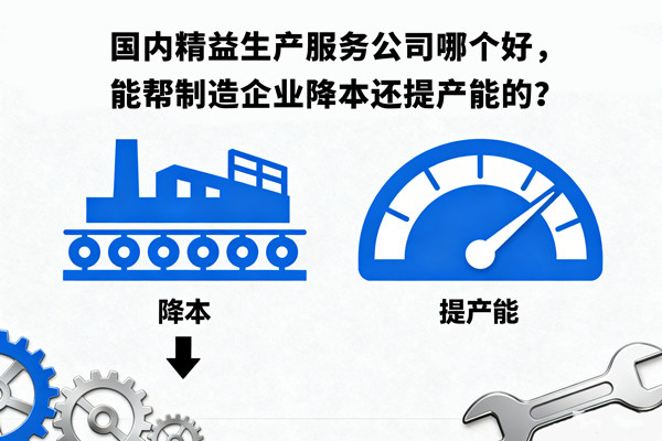 國內(nèi)精益生產(chǎn)服務(wù)公司哪個好，能幫制造企業(yè)降本還提產(chǎn)能的？