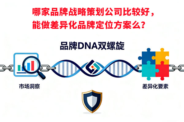 哪家品牌戰(zhàn)略策劃公司比較好，能做差異化品牌定位方案么？
