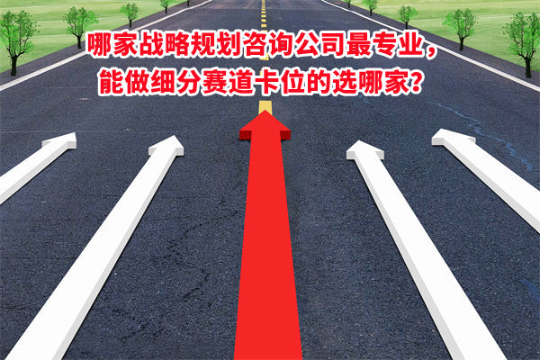 哪家戰(zhàn)略規(guī)劃咨詢公司最專業(yè)，能做細(xì)分賽道卡位的選哪家？